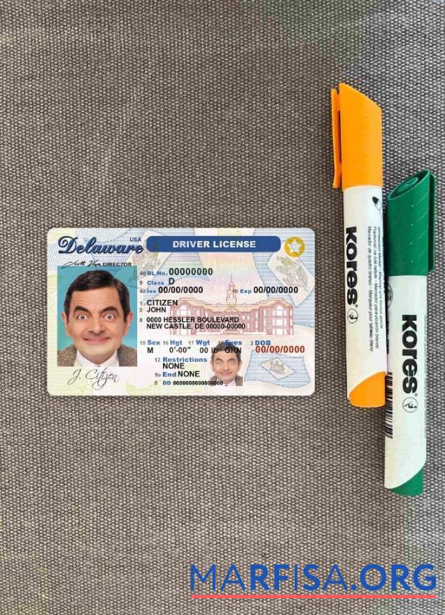 Blank USA Delaware DL photolook template